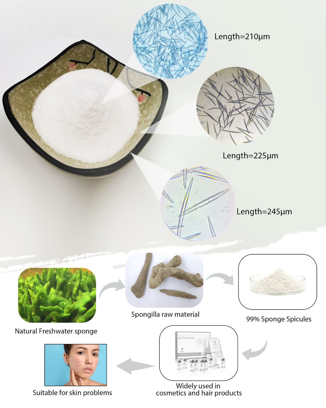 La arquitectura de la piel penetración espículas SQT